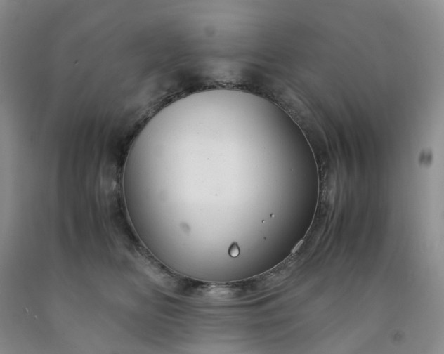 X0000091980518200709201429