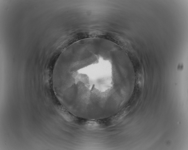 X0000091980519200709201429