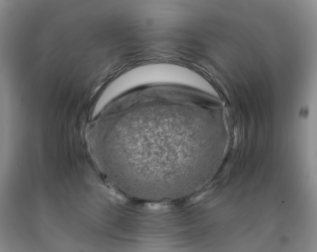 X0000091980520200709201429