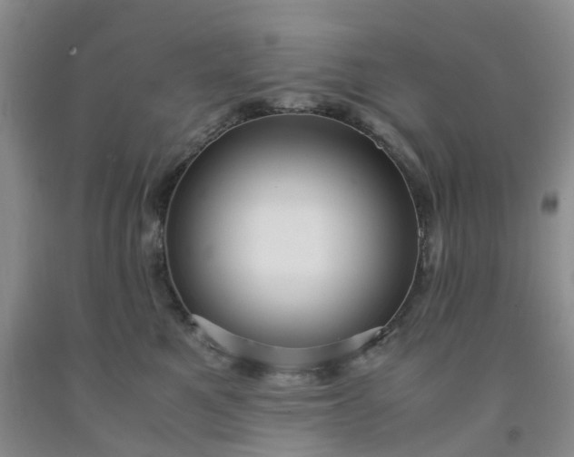 X0000091980521200709201429