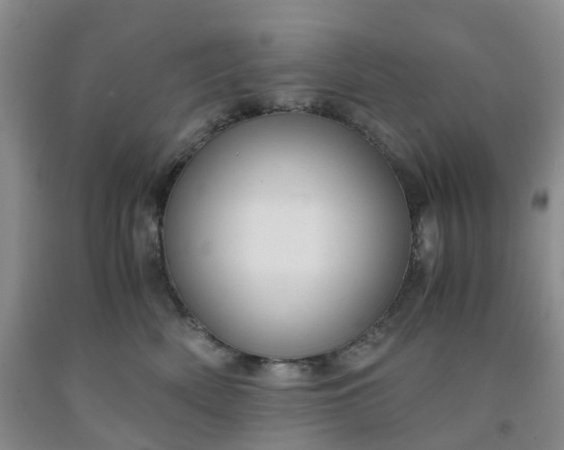 X0000091980522200709201429