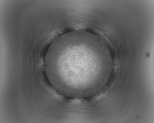 X0000091980523200709201429