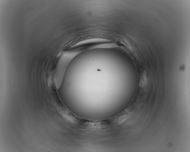 X0000091980524200709201429