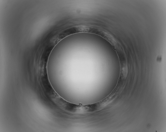 X0000091980525200709201429