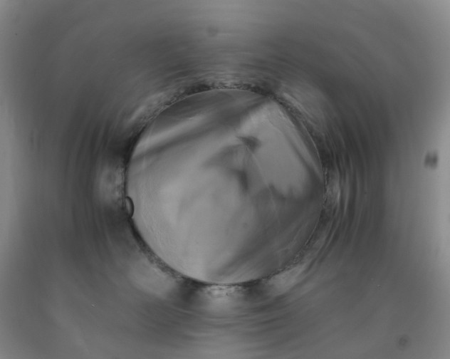 X0000091980526200709201429