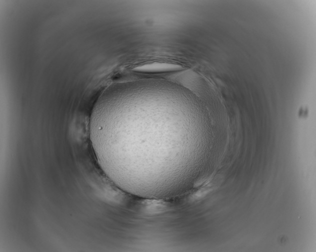 X0000091980528200709201429