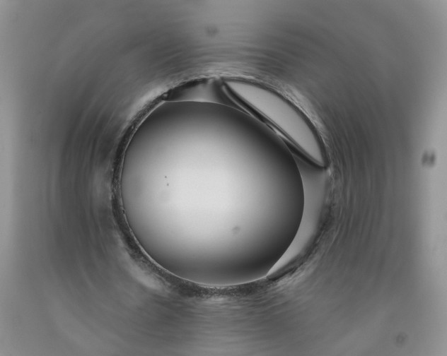 X0000091980530200709201428