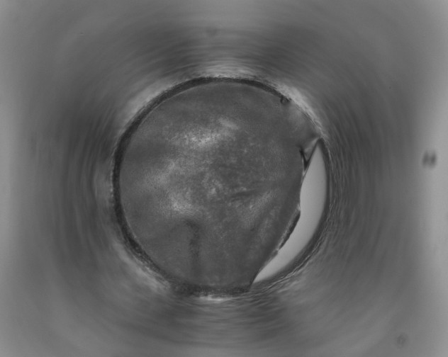 X0000091980531200709201428