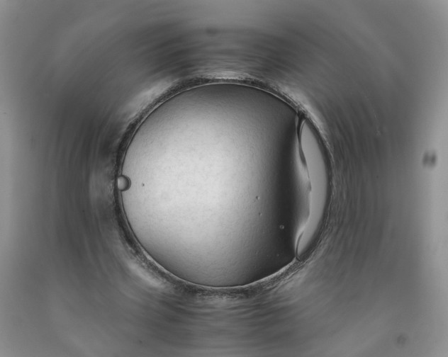 X0000091980533200709201428