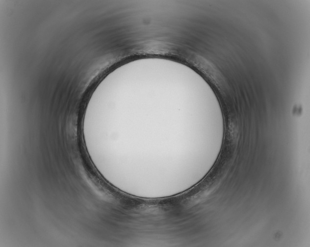 X0000091980534200709201428