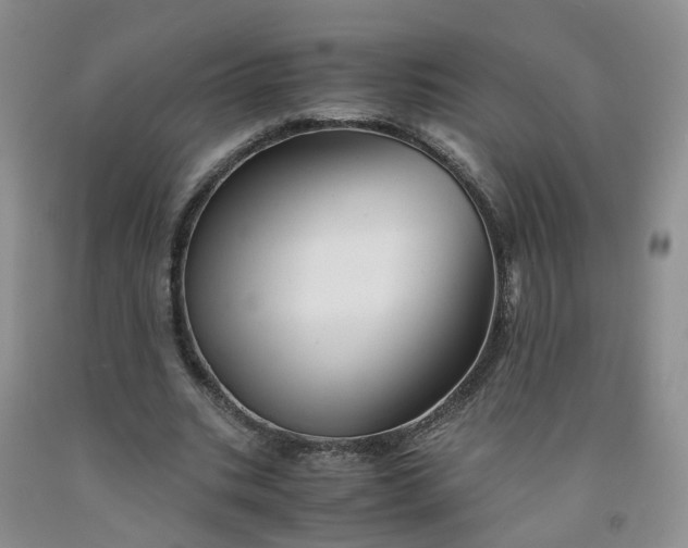 X0000091980535200709201428