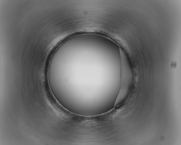 X0000091980536200709201428