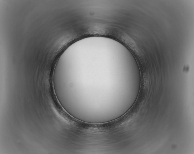 X0000091980538200709201428