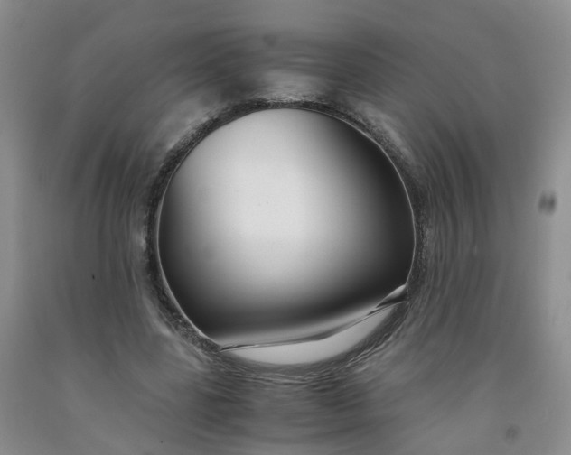 X0000091980539200709201428