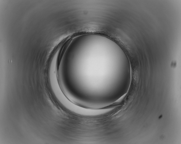 X0000091980540200709201428