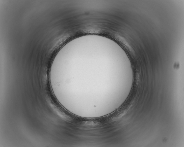 X0000091980541200709201428