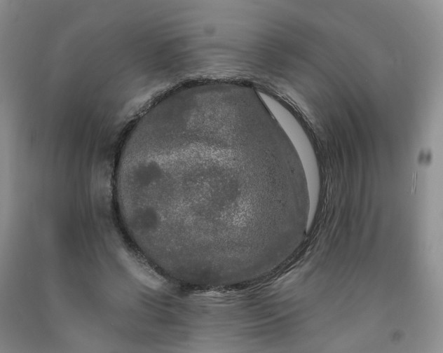 X0000091980542200709201428