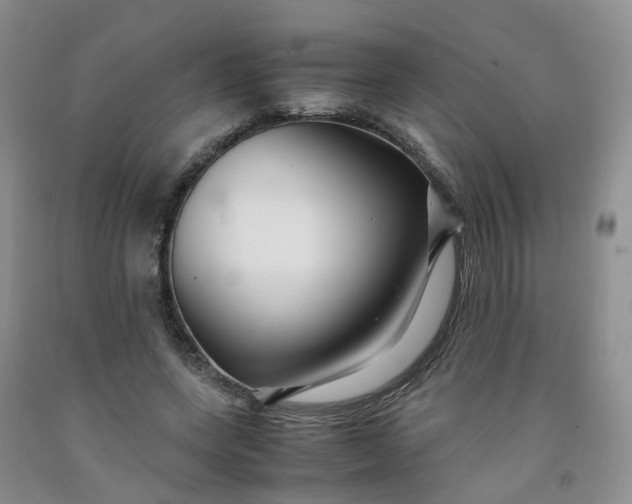 X0000091980543200709201428