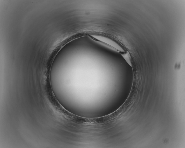 X0000091980544200709201428