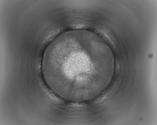 X0000091980545200709201428