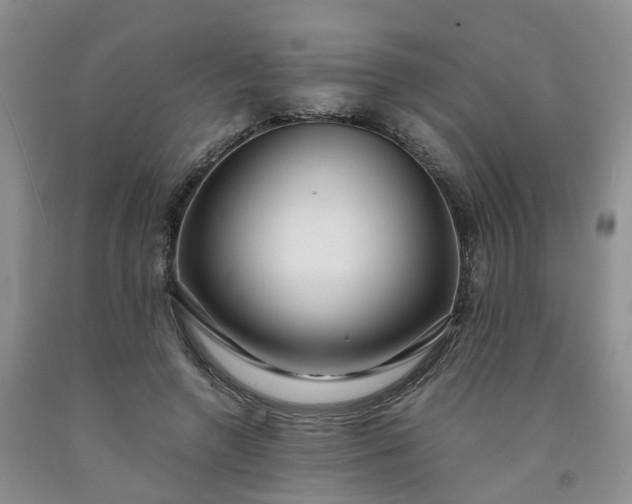 X0000091980546200709201428