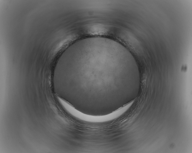 X0000091980547200709201428