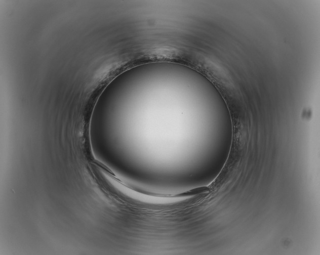 X0000091980548200709201428