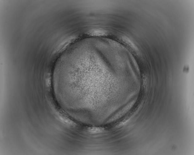 X0000091980549200709201428