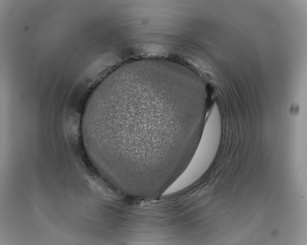 X0000091980550200709201428