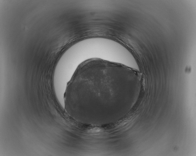 X0000091980551200709201428