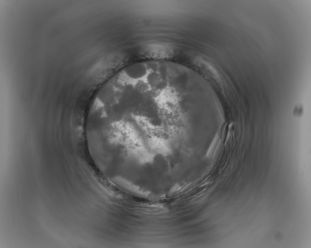 X0000091980553200709201428