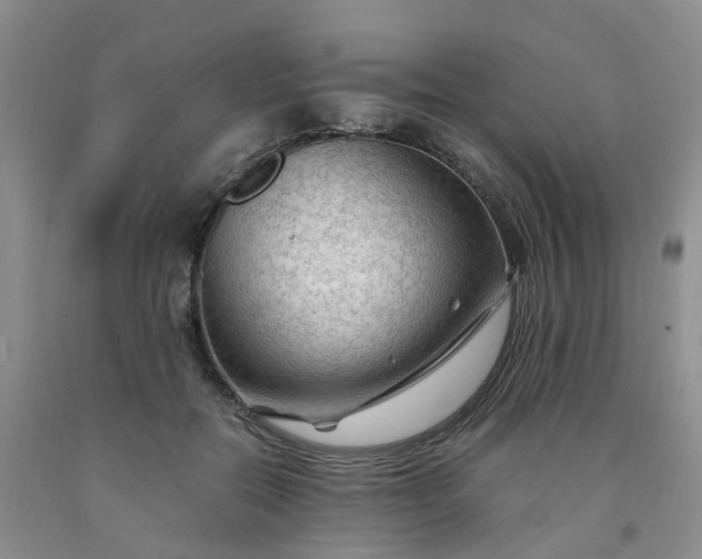 X0000091980554200709201428