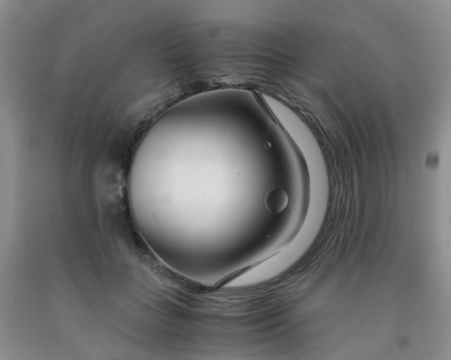 X0000091980555200709201428