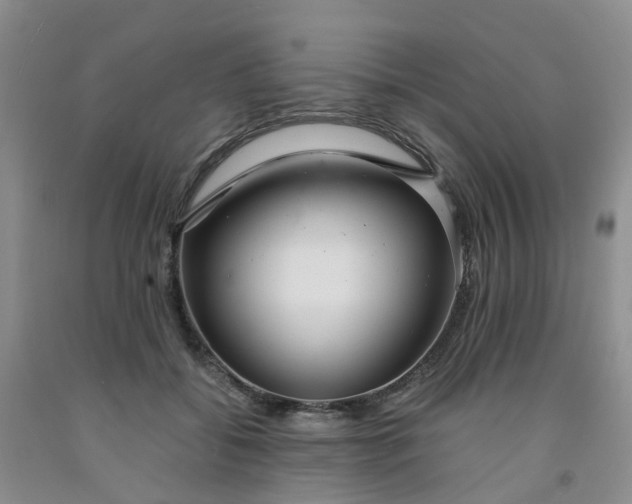 X0000091980556200709201428