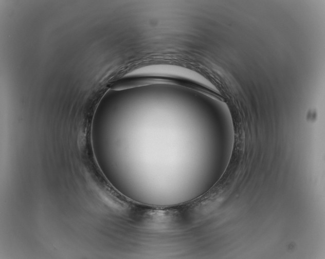 X0000091980558200709201428