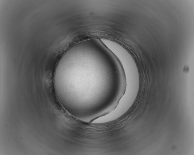 X0000091980559200709201428