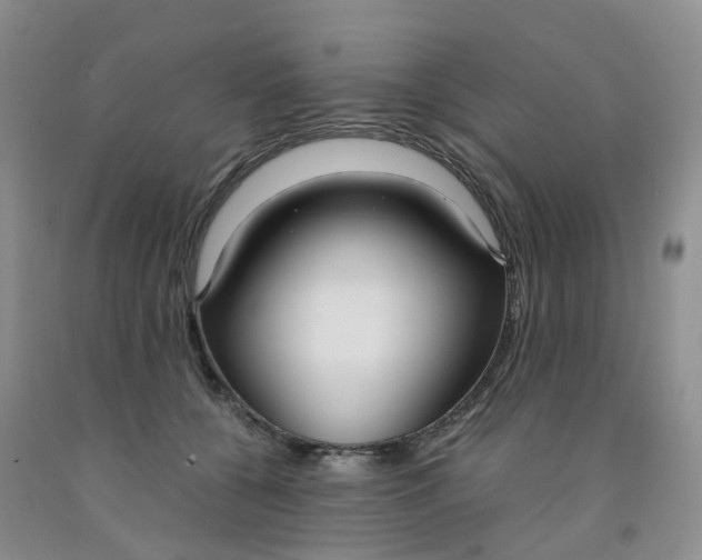 X0000091980560200709201428