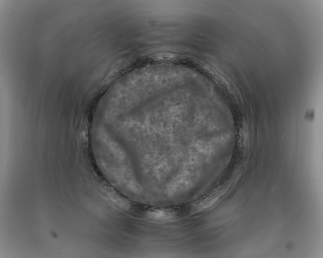 X0000091980561200709201428