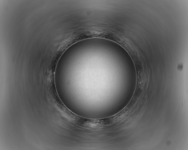 X0000091980563200709201428