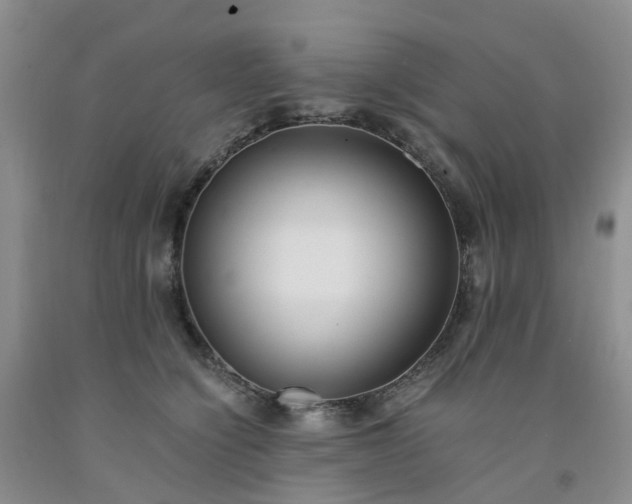 X0000091980564200709201429