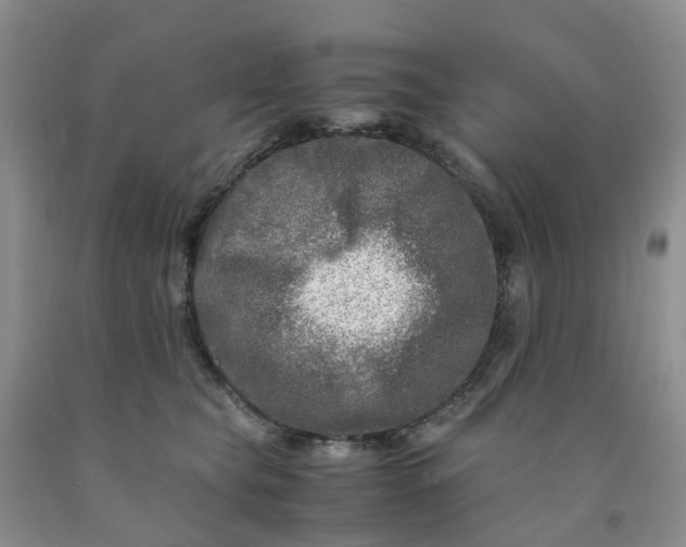 X0000091980565200709201429