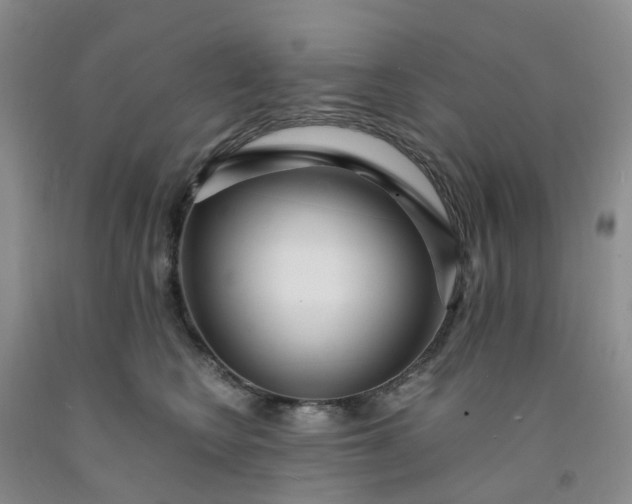 X0000091980566200709201429