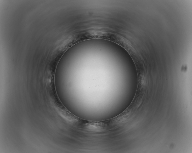 X0000091980567200709201429