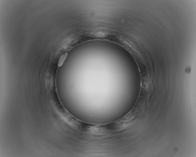 X0000091980568200709201429