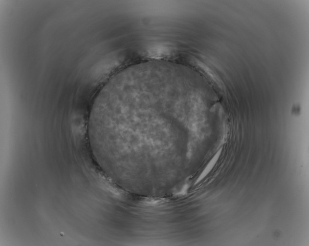 X0000091980569200709201429