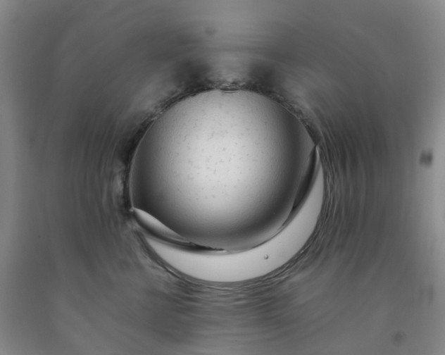 X0000091980570200709201429