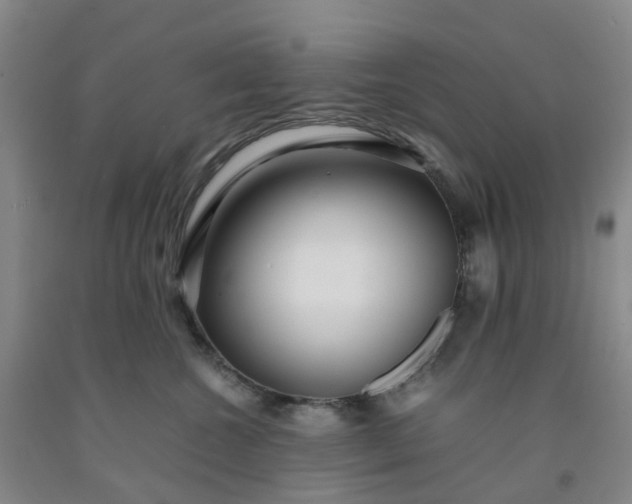 X0000091980572200709201429