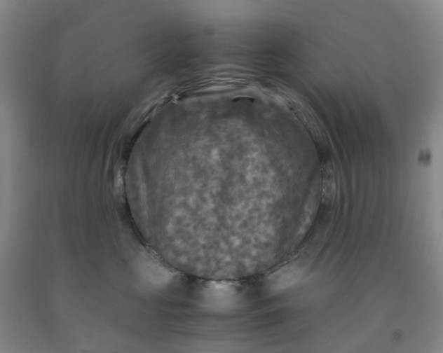 X0000091980573200709201429