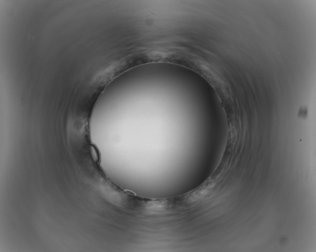 X0000091980574200709201429