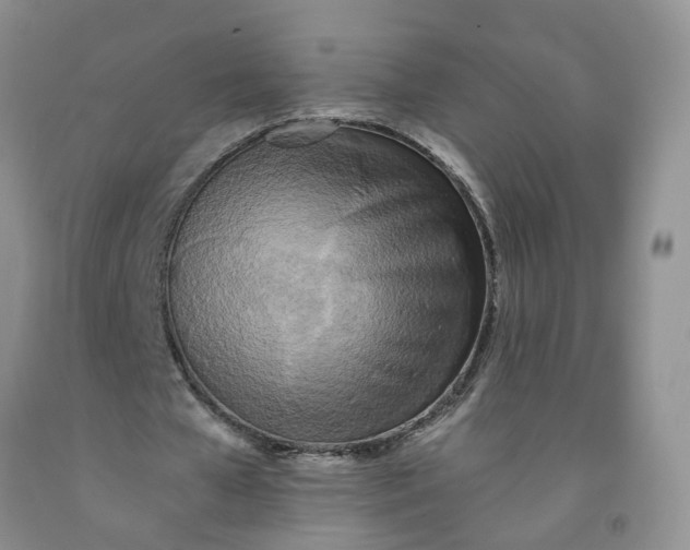 X0000091980577200709201428